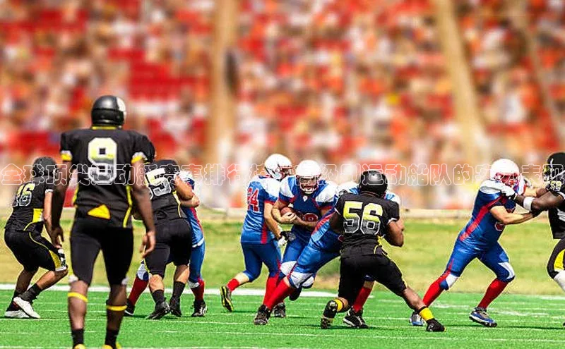 极悦app官网入口