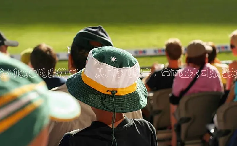 下载最新版悦平台