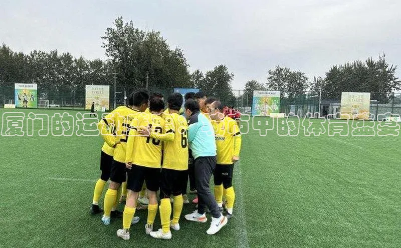 下载最新版悦平台